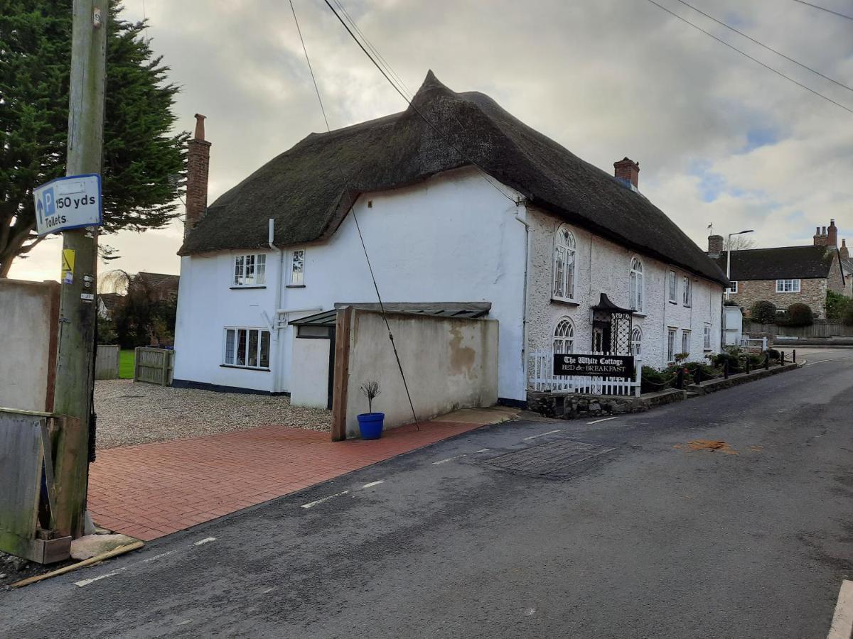 The White Cottage Colyton 외부 사진