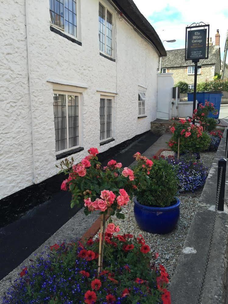 The White Cottage Colyton 외부 사진